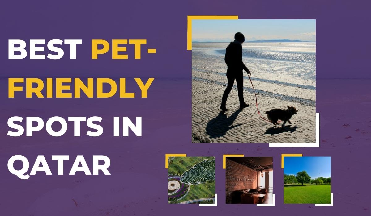 Best Pet-Friendly Spots in Qatar